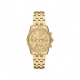 RELÓGIO MICHAEL KORS FEMININO MK7530/1DN