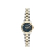 RELÓGIO TECHNOS AUTOMÁTICO FEMININO NH06AF/1A